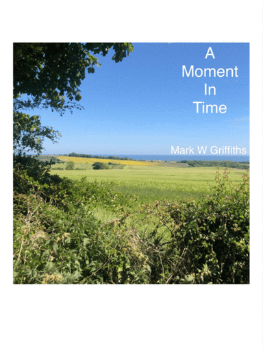 A Moment In Time