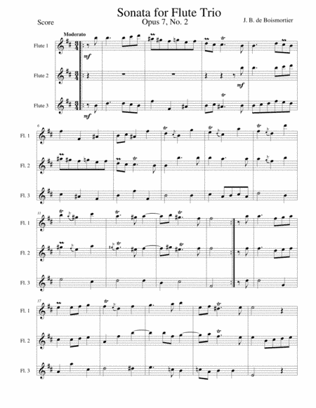 Flute Sonata, Opus 7 No 2 (arr. Gary Bricault)
