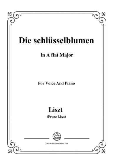 Liszt-Die schlüsselblumen in A flat Major,for Voice and Piano (arr. MSM)