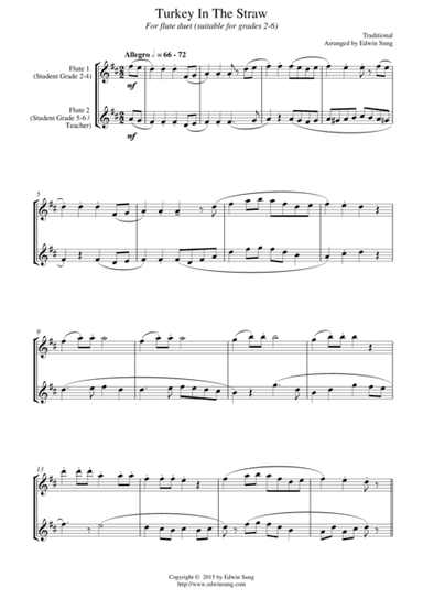 Turkey In The Straw (for flute duet, suitable for grades 2-6) (arr. Edwin Sung)