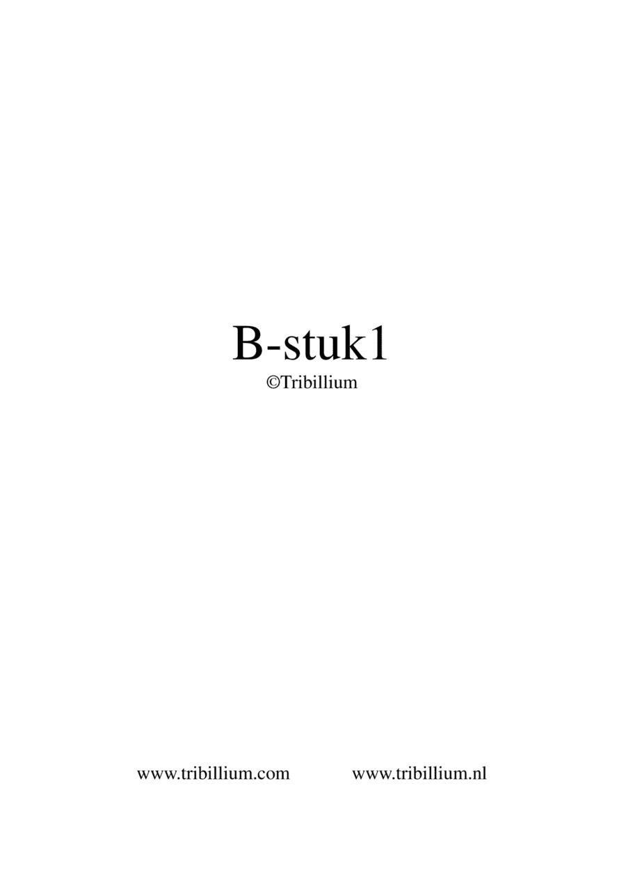B-stuk 1