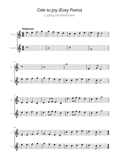 Ode To Joy - Easy Flute Duet (arr. Ygor Nunes)