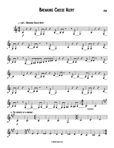 Breaking Cheese Alert Guitar Part 3