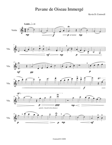 Pavane de Oiseau Immergé