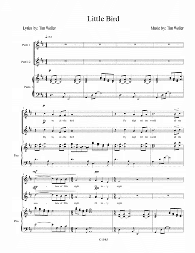 Little Bird (Fly by) 2-part