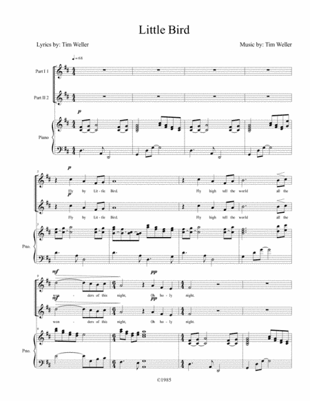 Little Bird (Fly by) 2-part