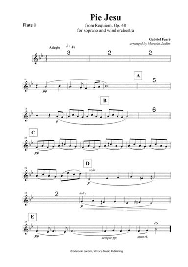 Pie Jesu, from Requiem by Gabriel Fauré (arr. Marcelo Jardim)