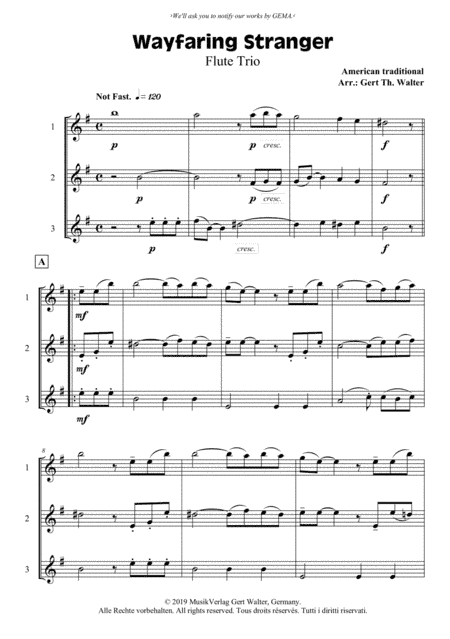Wayfaring Stranger (arr. Gert Th. Walter)