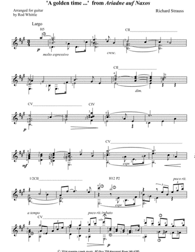 'A golden time ...' from Ariadne auf Naxos (arr. Rod Whittle)