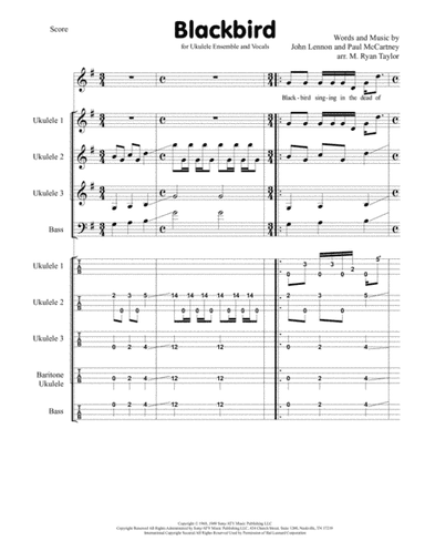 Blackbird (arr. M. Ryan Taylor)