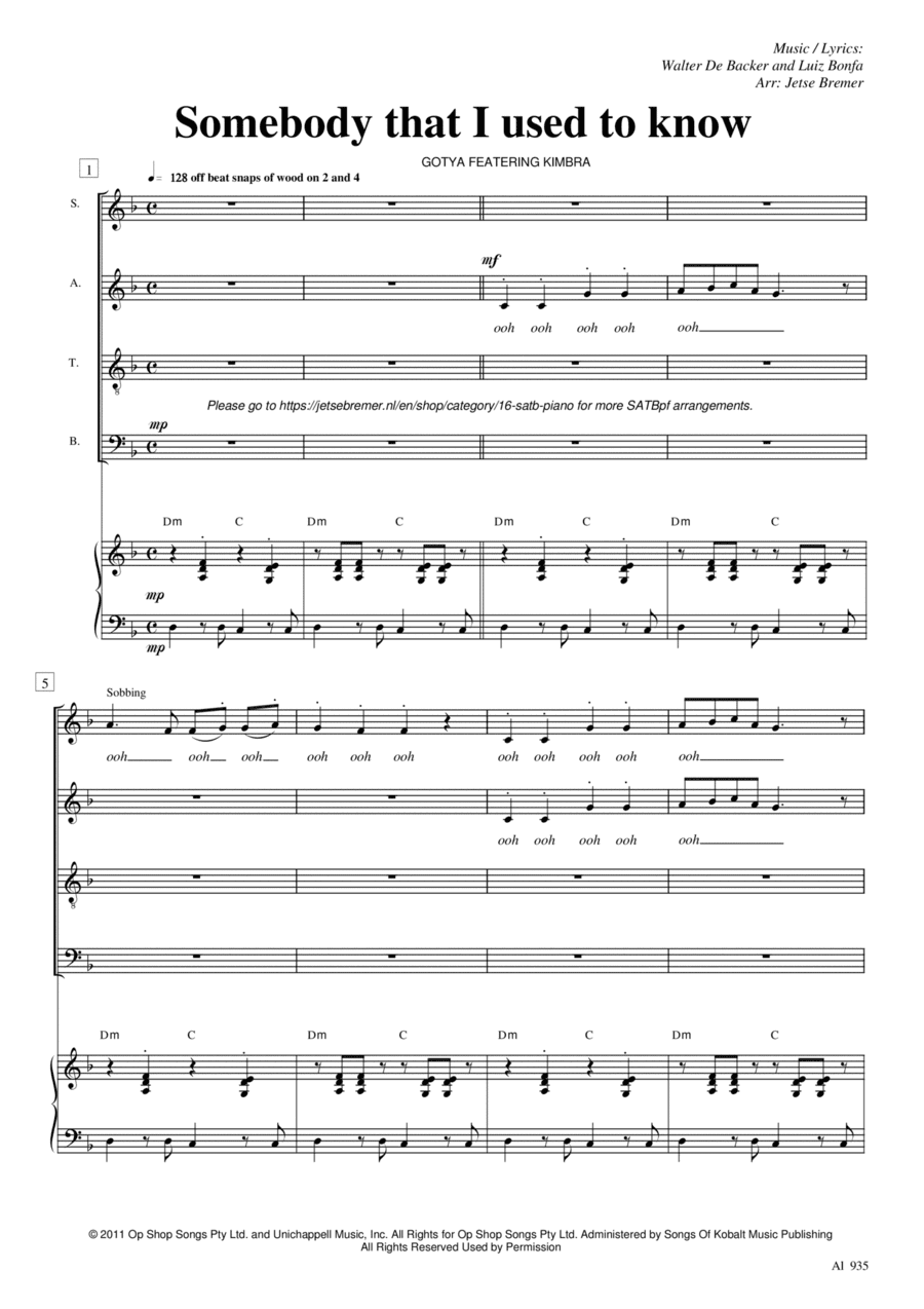 Somebody That I Used To Know (arr. Jetse Bremer)