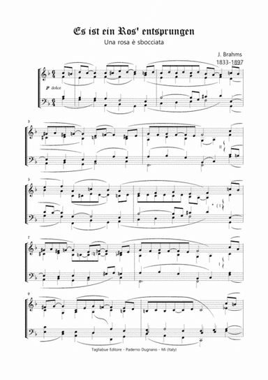 PASTORALE - Es ist ein Ros' entsprungen -  J. Brahms - For Organ (arr. M. Meneguzzo)
