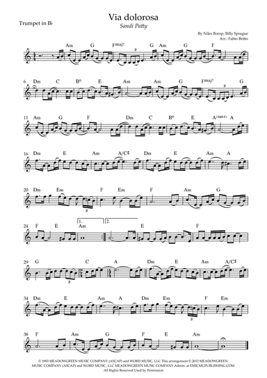 Via Dolorosa (arr. Fabio Britto)