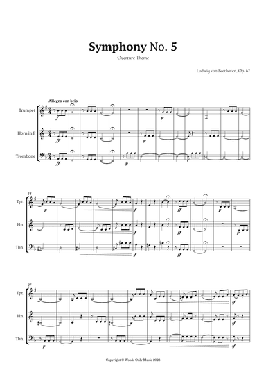 Symphony No. 5 by Beethoven for Brass Trio (arr. Ander)