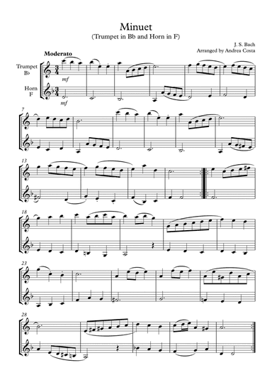 Minuet in G Minor (arr. Andrea Costa)