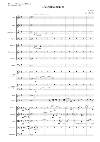 Che gelida manina (arr. Antonello Rizzella)