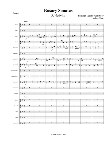 Rosary Sonatas: The Nativity (arr. Joshua Choe)