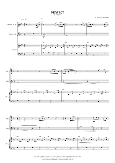 Perfect (arr. Paulo Galvão Filho)