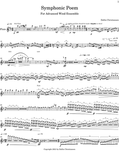 Symphonic Poem (parts)