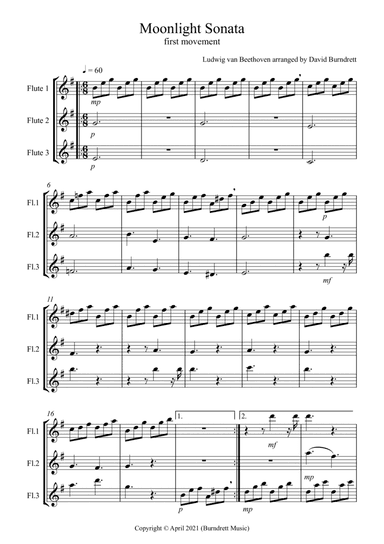 Moonlight Sonata (1st movement) for Flute Trio (arr. David Burndrett)