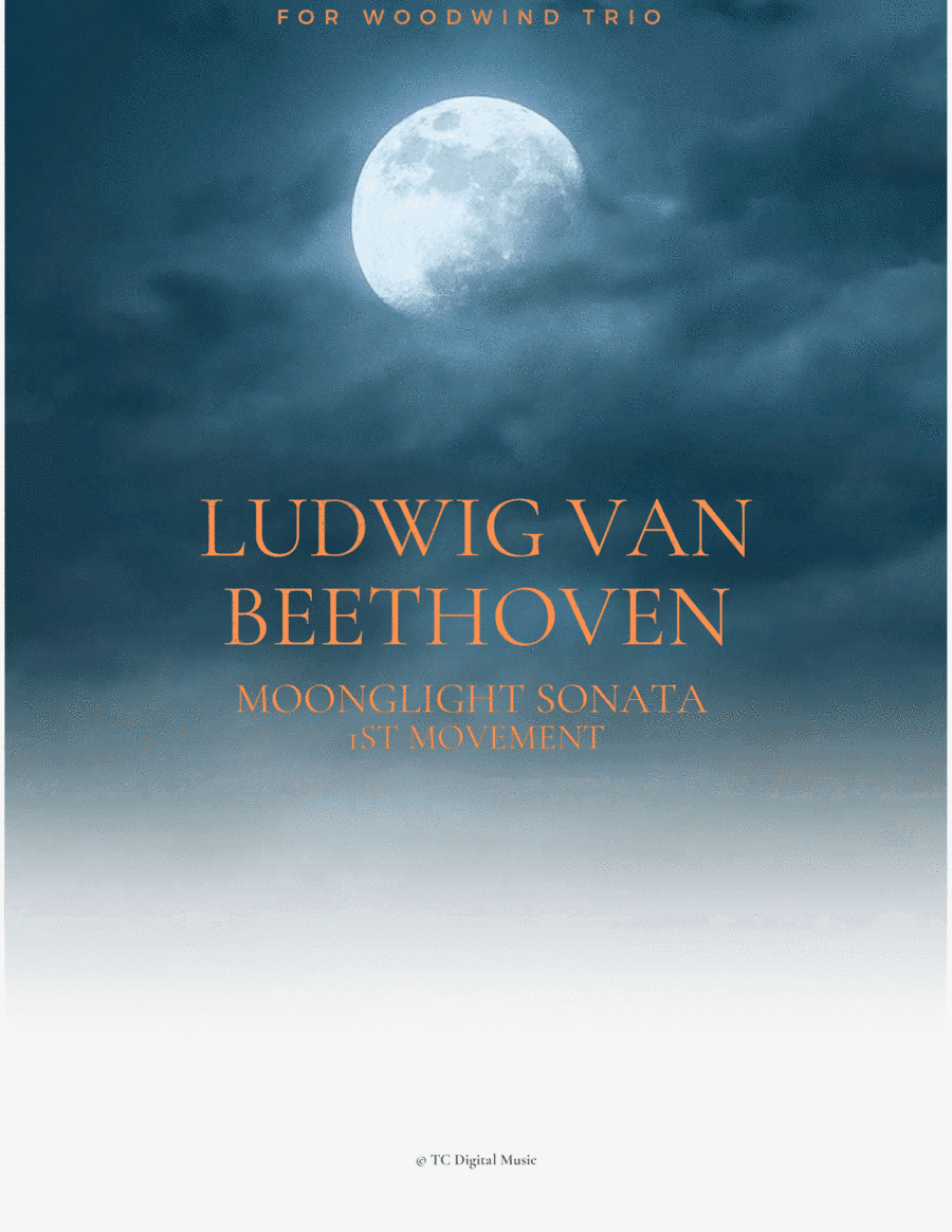Ludwig Van Beethoven - Moonlight Sonata - First Movement For Woodwind Trio (arr. Taina Caldeira)