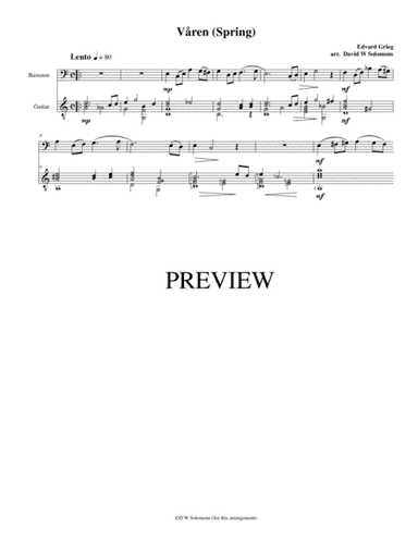 Våren (Spring) for bassoon and guitar (arr. David Warin Solomons)
