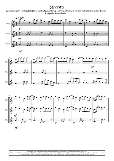 Senorita (arr. Nicolás Cortés Castillo)