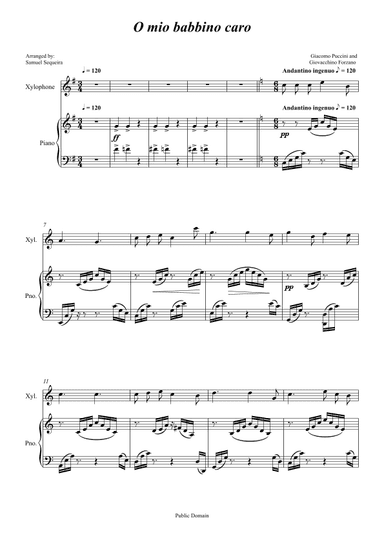O mio babbino caro - for Xylophone and Piano accompaniment - orchestral play along (arr. Samuel Sequeira)
