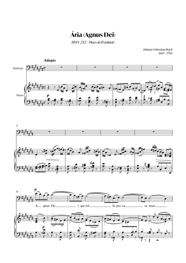 Aria (Agnus dei) from the Mass in B Minor (BACH) - Baritone_A#m (arr. André Alberto Santos)