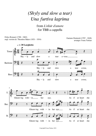 Shyly and slow a tear (Una furtiva lagrima) TBB a cappella, A minor (arr. Ivana Tuskan)