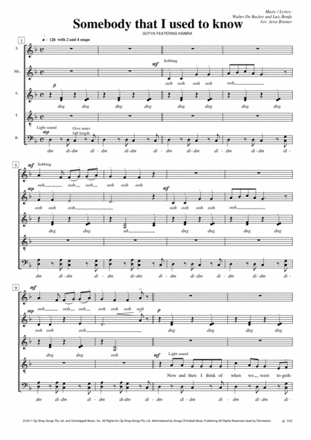 Somebody That I Used To Know (arr. Jetse Bremer)