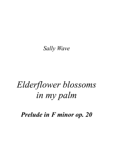 Elderflower blossoms in my palm