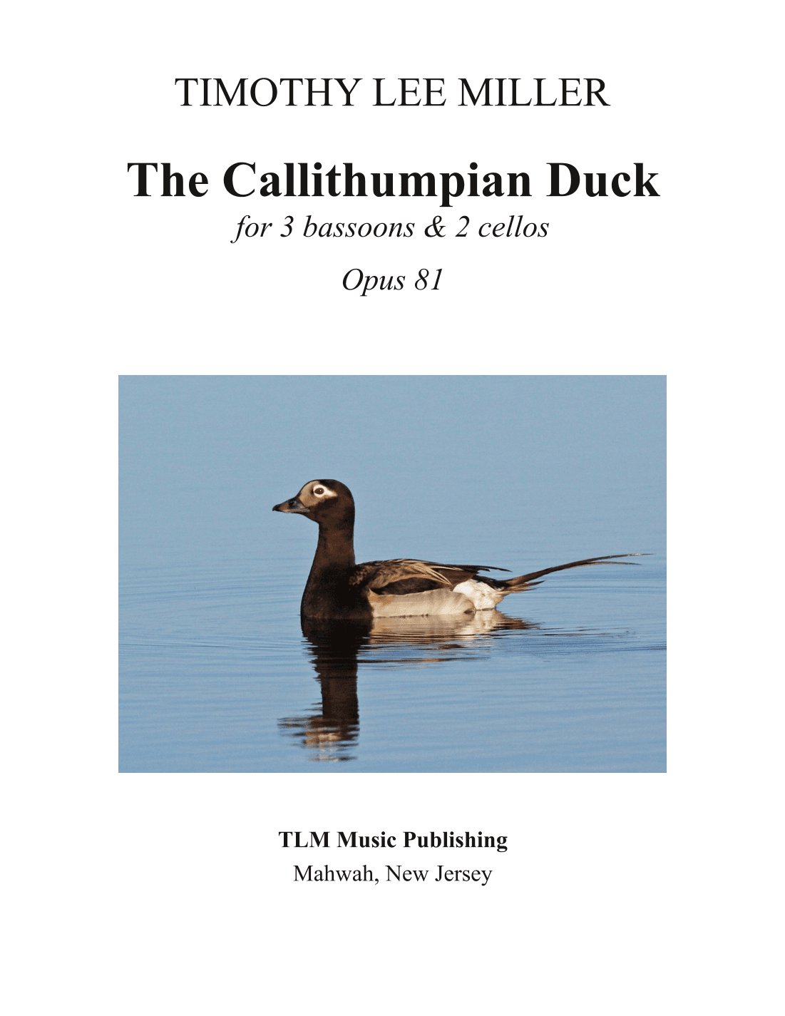 The Callithumpian Duck