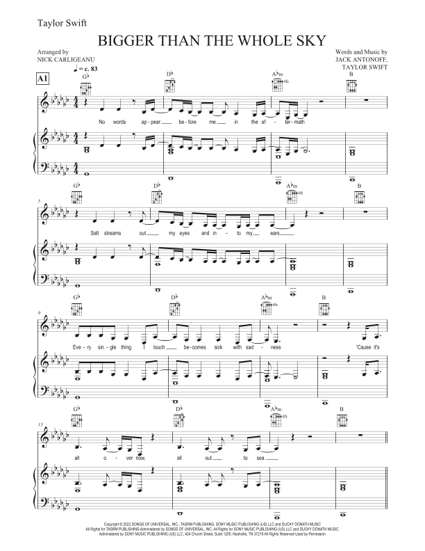 Bigger Than The Whole Sky (arr. Nicky Carligeanu Birtu)