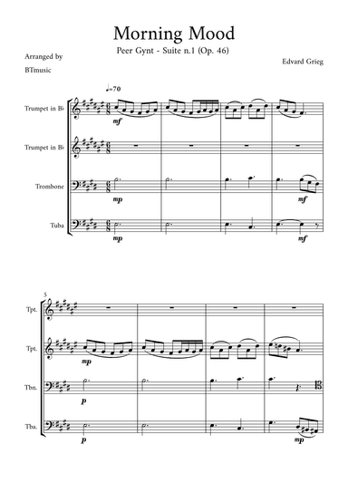 Morning Mood (Peer Gynt Suite N.1, Op 46) (arr. BTmusic)