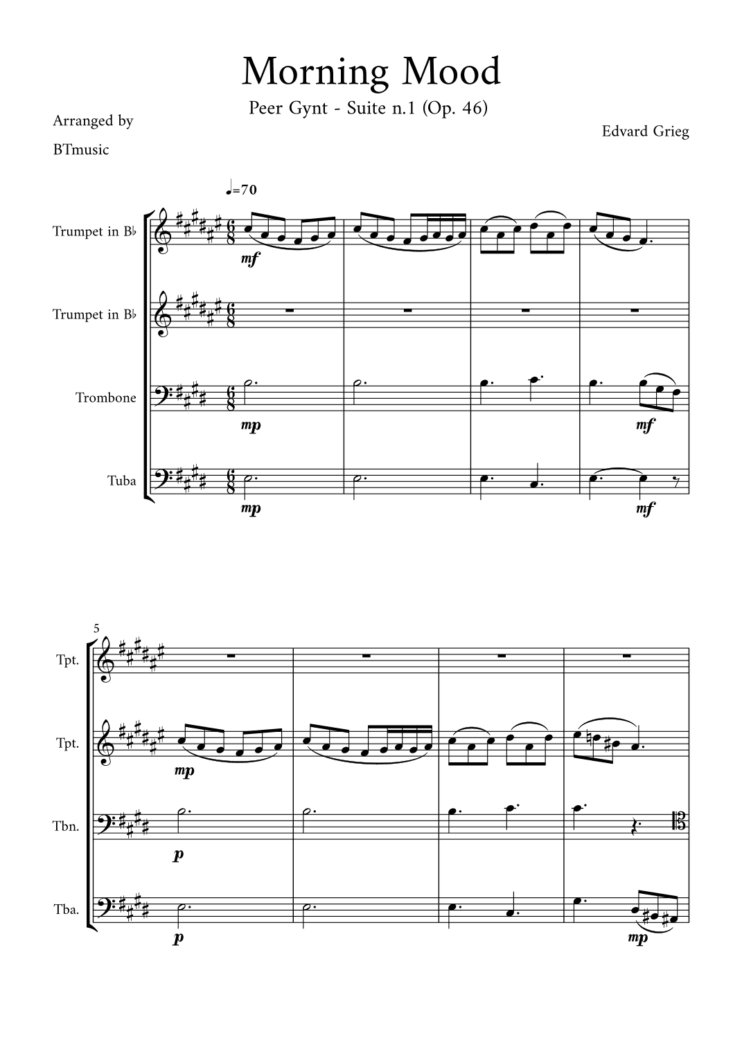 Morning Mood (Peer Gynt Suite N.1, Op 46) (arr. BTmusic)