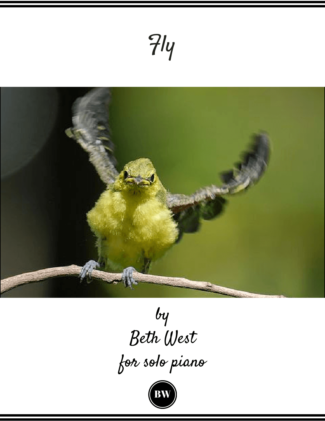 Fly