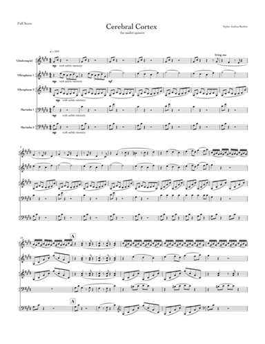Cerebral Cortex, for mallet quintet