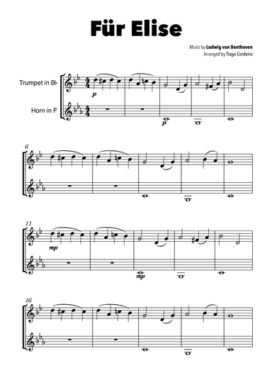 Für Elise (arr. Tiago Cordeiro)