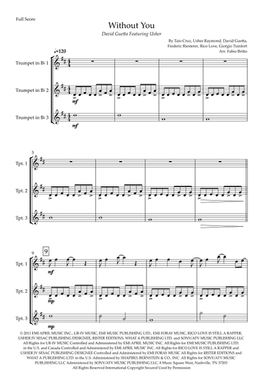 Without You (arr. Fabio Britto)