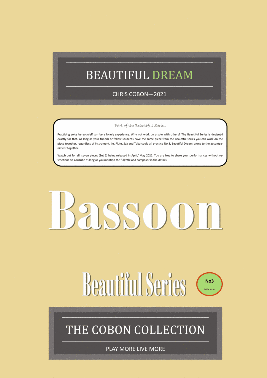 No.3 Beautiful Dream (Bassoon)