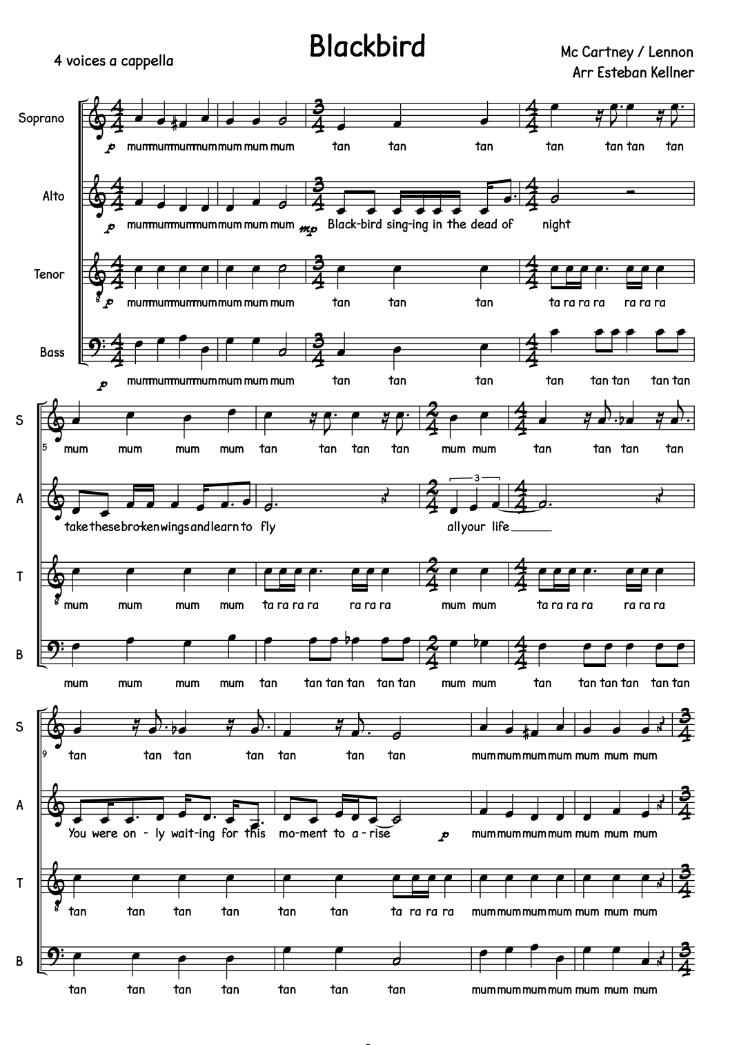 Blackbird (arr. Esteban Kellner)