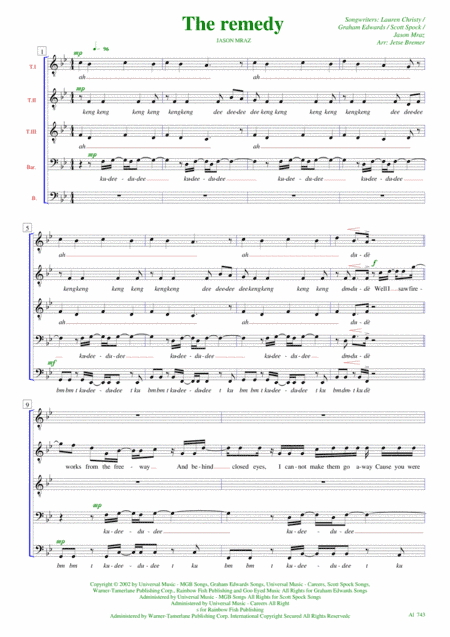 The Remedy (i Won't Worry) (arr. Jetse Bremer)