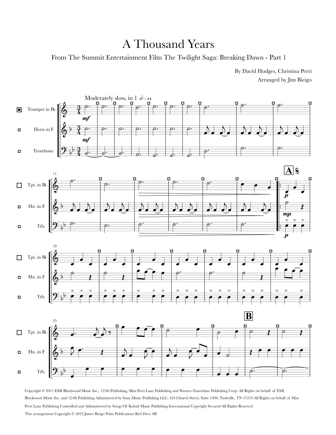 A Thousand Years (arr. Jim Bicigo)