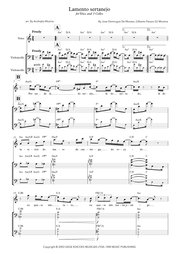 Lamento Sertanejo (arr. Andrejka Mozina)