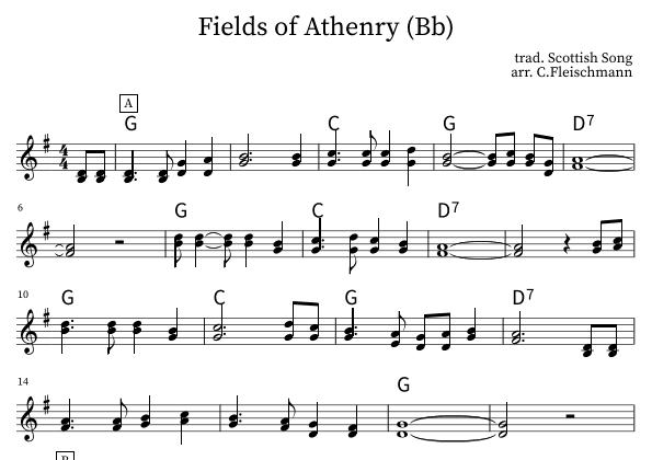 Fields of Athenry (arr. Christoph Fleischmann)