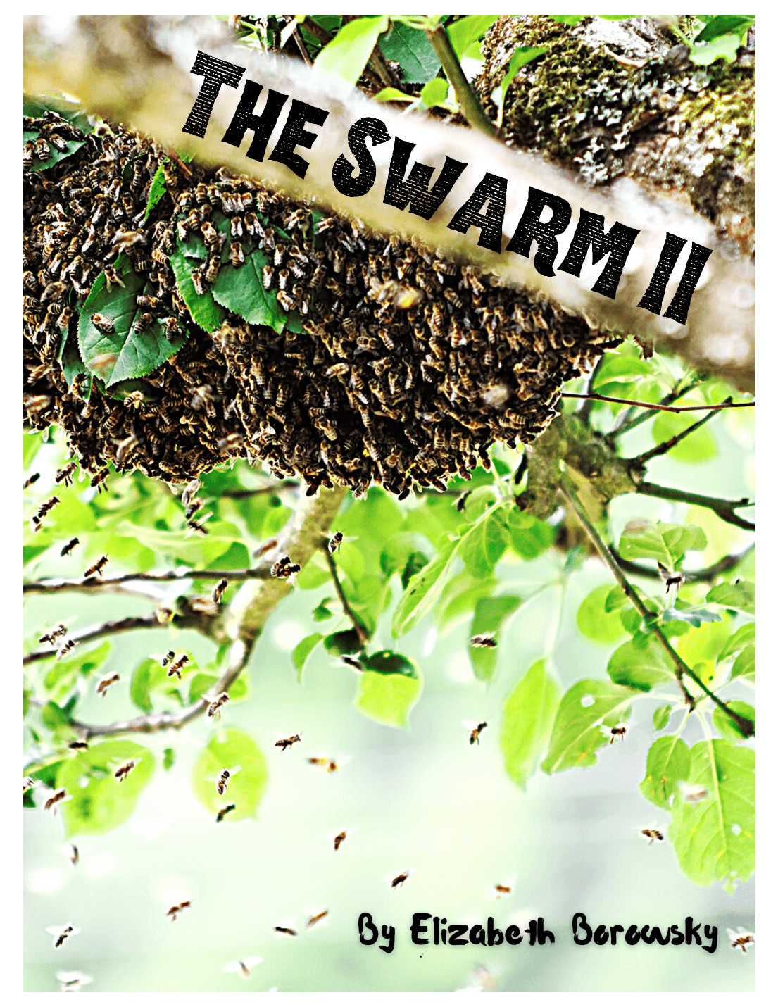 The Swarm II