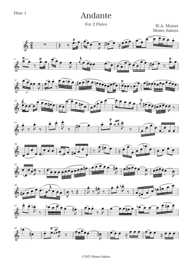 Andante for 2 Flutes (arr. Momo Sakura)