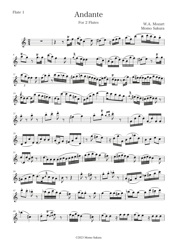 Andante for 2 Flutes (arr. Momo Sakura)