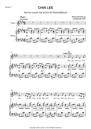 The Witch of Woccabocca - Chin Lee